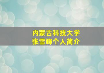 内蒙古科技大学张雪峰个人简介