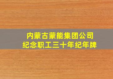 内蒙古蒙能集团公司纪念职工三十年纪年牌