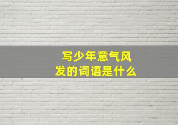 写少年意气风发的词语是什么