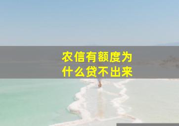 农信有额度为什么贷不出来