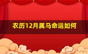 农历12月属马命运如何