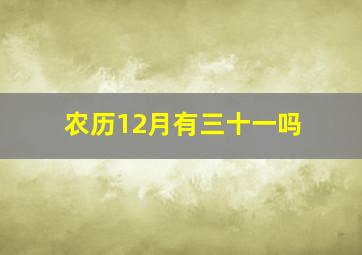 农历12月有三十一吗