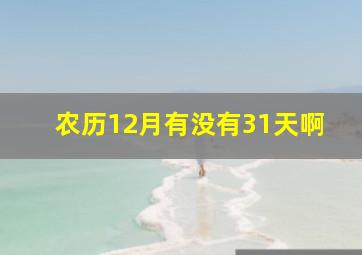 农历12月有没有31天啊