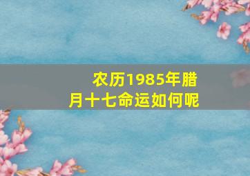 农历1985年腊月十七命运如何呢