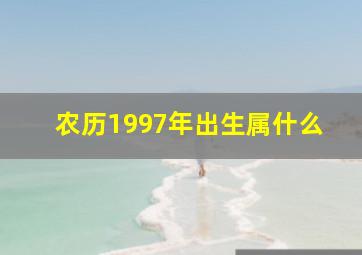 农历1997年出生属什么