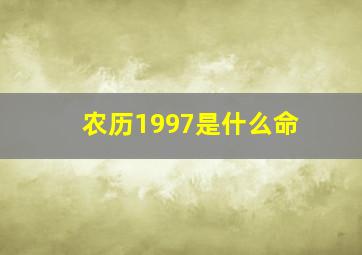 农历1997是什么命