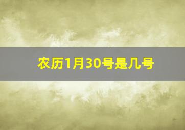 农历1月30号是几号