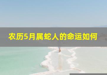 农历5月属蛇人的命运如何