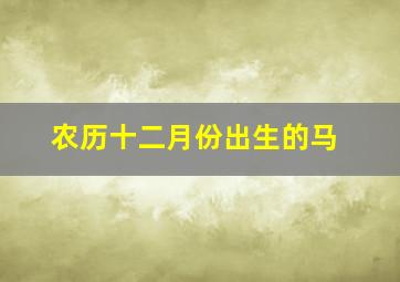 农历十二月份出生的马