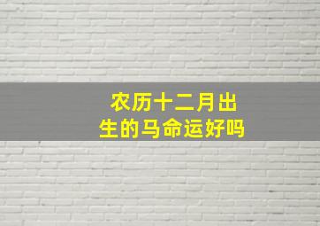 农历十二月出生的马命运好吗