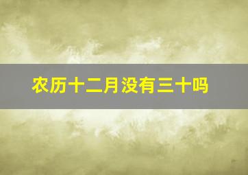 农历十二月没有三十吗