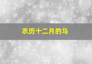 农历十二月的马