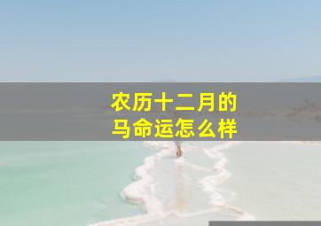 农历十二月的马命运怎么样