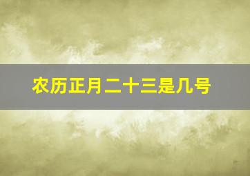 农历正月二十三是几号