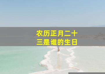 农历正月二十三是谁的生日