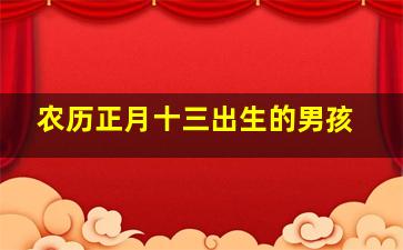 农历正月十三出生的男孩