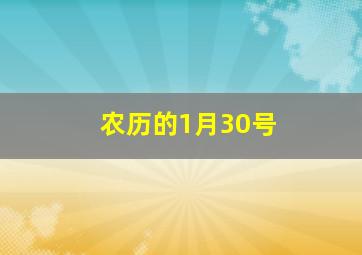 农历的1月30号