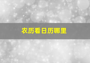 农历看日历哪里