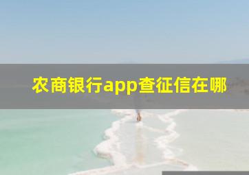 农商银行app查征信在哪