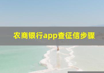 农商银行app查征信步骤