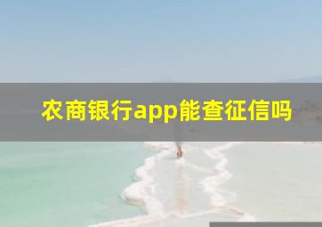 农商银行app能查征信吗