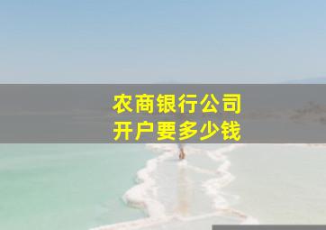 农商银行公司开户要多少钱