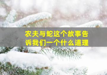 农夫与蛇这个故事告诉我们一个什么道理