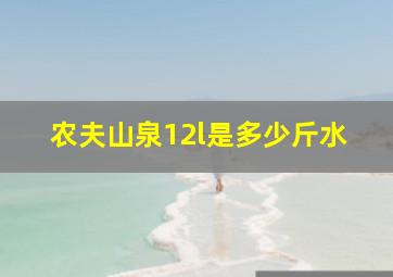 农夫山泉12l是多少斤水