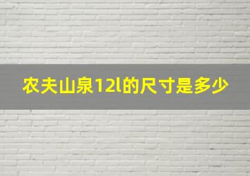 农夫山泉12l的尺寸是多少