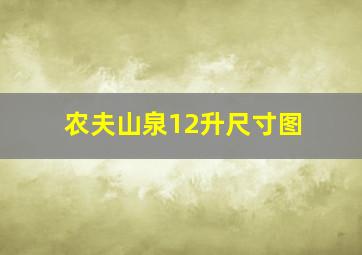 农夫山泉12升尺寸图