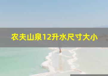 农夫山泉12升水尺寸大小