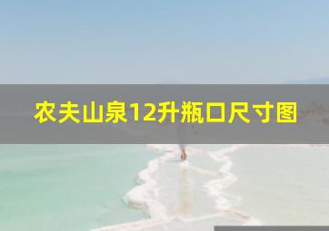 农夫山泉12升瓶口尺寸图