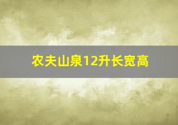 农夫山泉12升长宽高