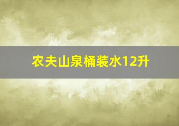 农夫山泉桶装水12升