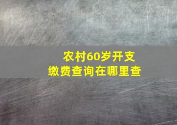 农村60岁开支缴费查询在哪里查