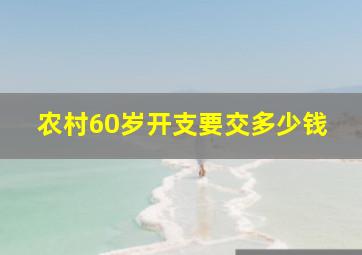 农村60岁开支要交多少钱