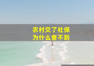 农村交了社保为什么查不到