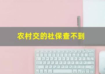 农村交的社保查不到