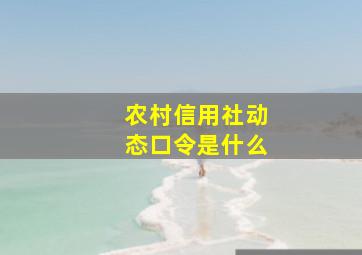 农村信用社动态口令是什么