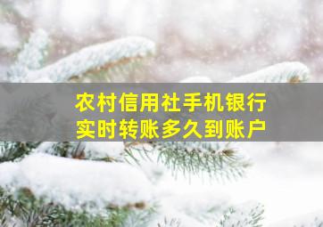 农村信用社手机银行实时转账多久到账户