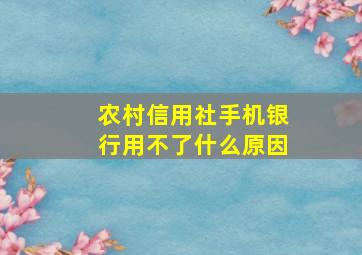 农村信用社手机银行用不了什么原因