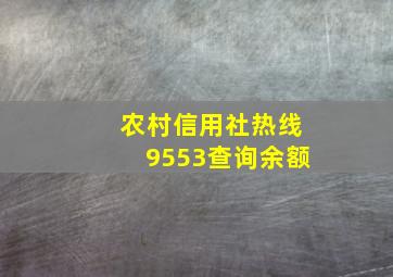 农村信用社热线9553查询余额