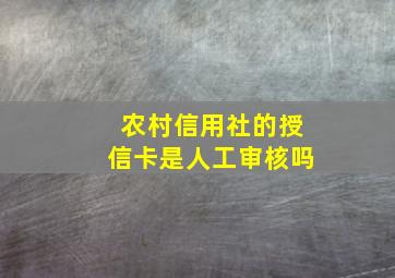 农村信用社的授信卡是人工审核吗