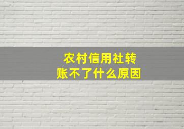 农村信用社转账不了什么原因