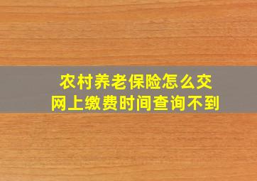 农村养老保险怎么交网上缴费时间查询不到