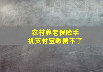 农村养老保险手机支付宝缴费不了