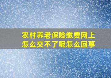 农村养老保险缴费网上怎么交不了呢怎么回事