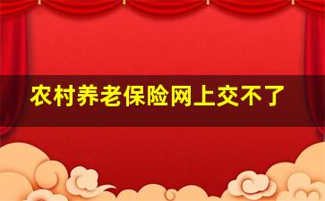 农村养老保险网上交不了