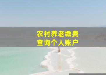 农村养老缴费查询个人账户