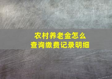 农村养老金怎么查询缴费记录明细